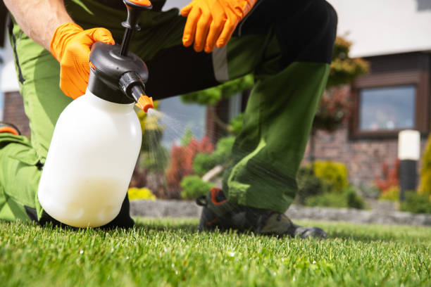 Professional Pest Control in Parker, CO
